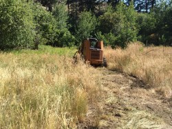 Clearing brush