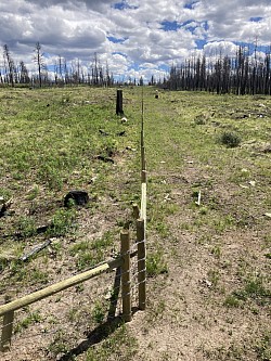 6km of range fence was drilled, fence installed and seeded