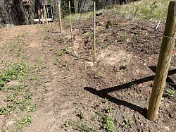 4 strand barbed wire, solid rock range development fence