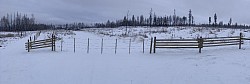 Slip wire forestry gate