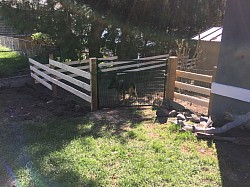 Custom 6’ metal gate